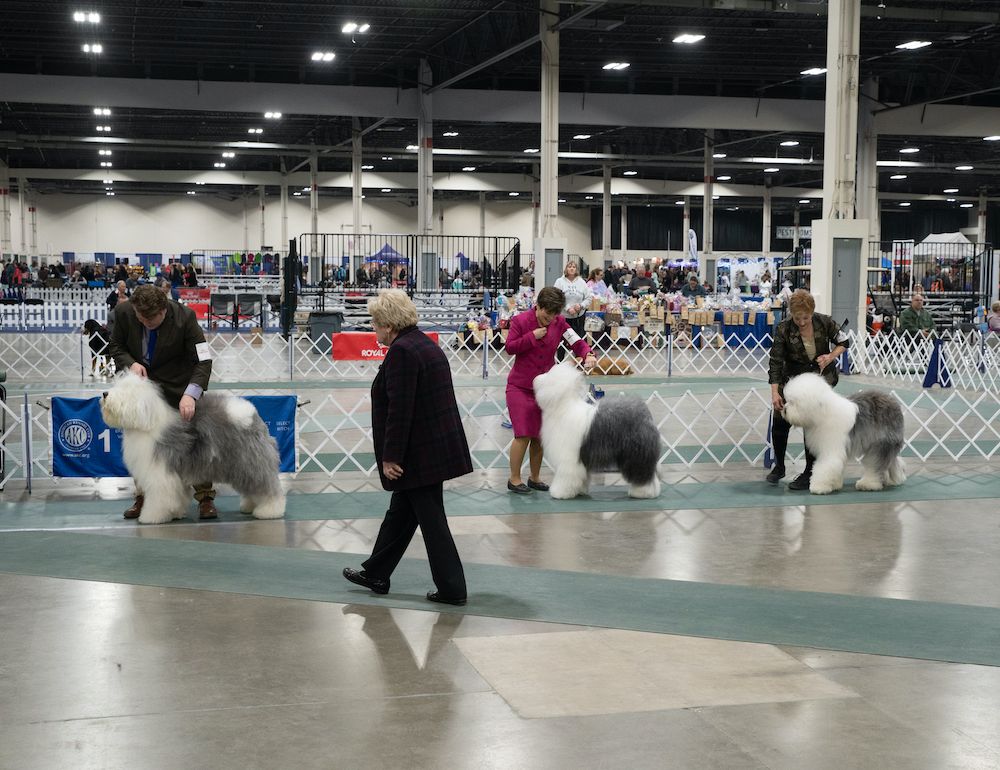 Question of the Week